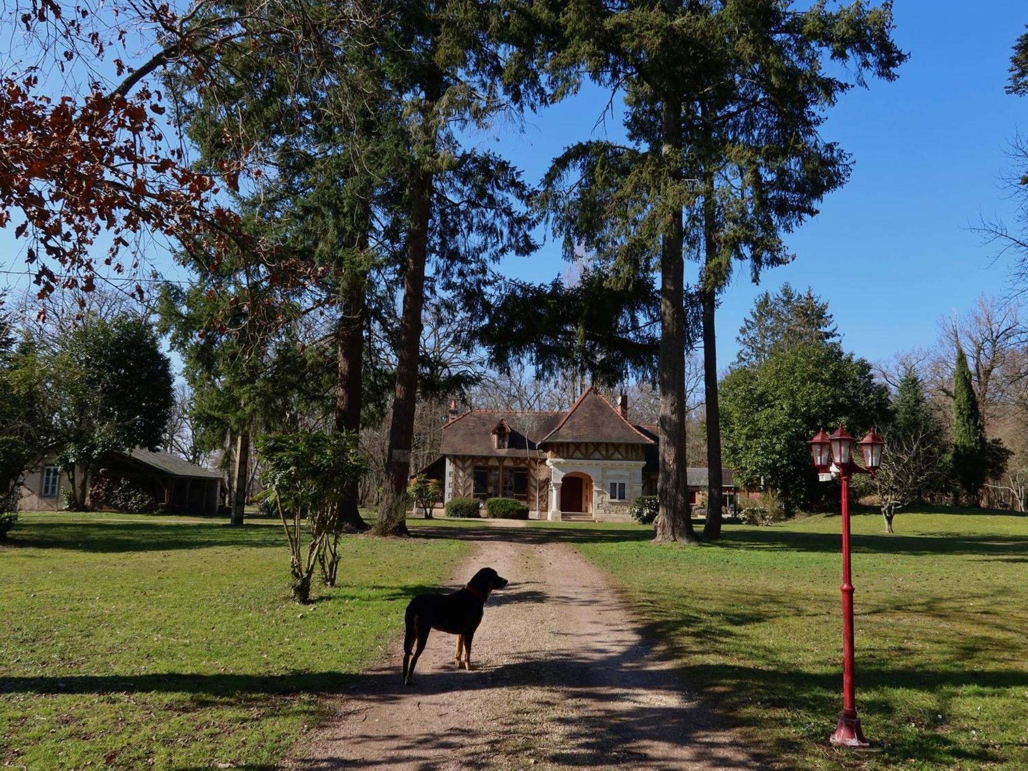 La Faisanderie Saint-Florent-sur-Cher Bagian luar foto