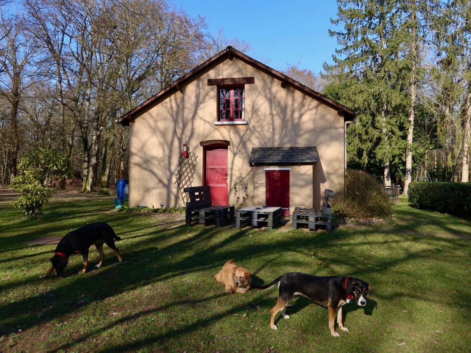 La Faisanderie Saint-Florent-sur-Cher Bagian luar foto