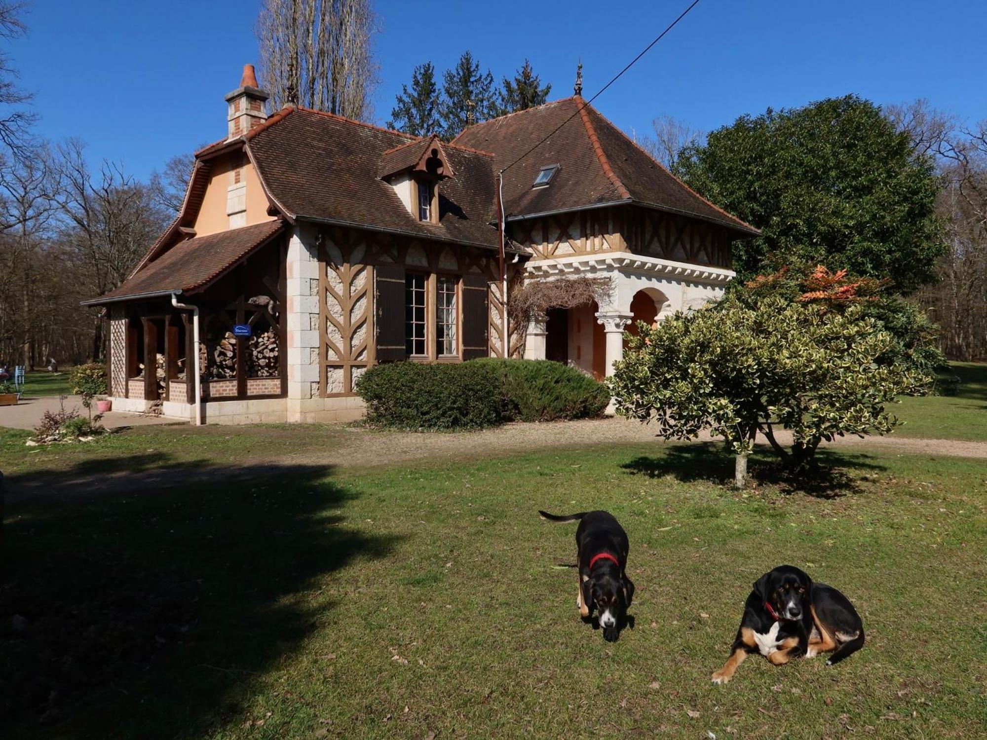 La Faisanderie Saint-Florent-sur-Cher Bagian luar foto